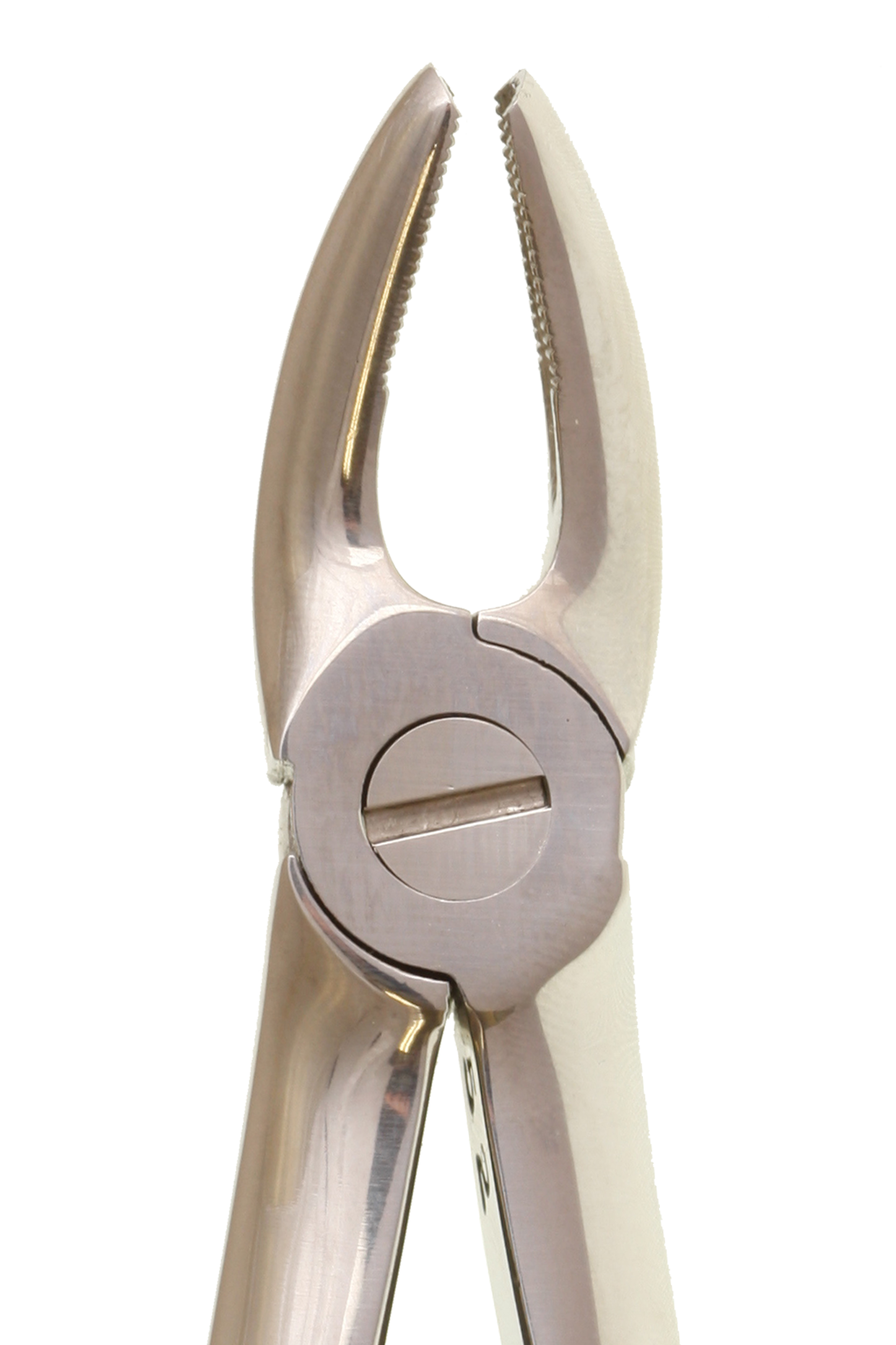 Eco+ Extraction Forceps No 7