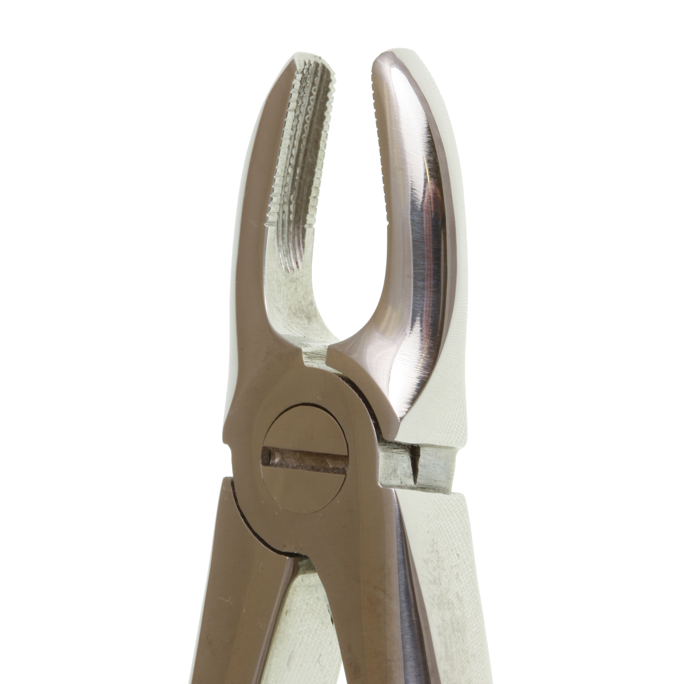 Eco+ Extraction Forceps No 37
