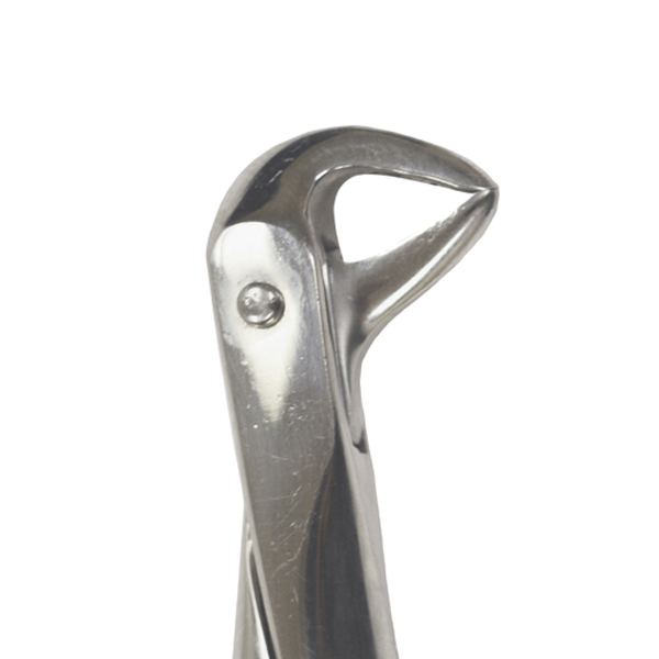 Eco+ Extraction Forceps No 162