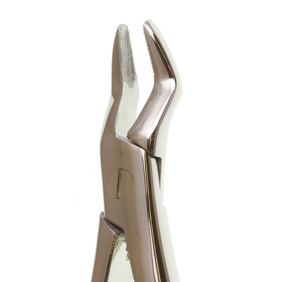 Eco+ Extraction Forcep No 101