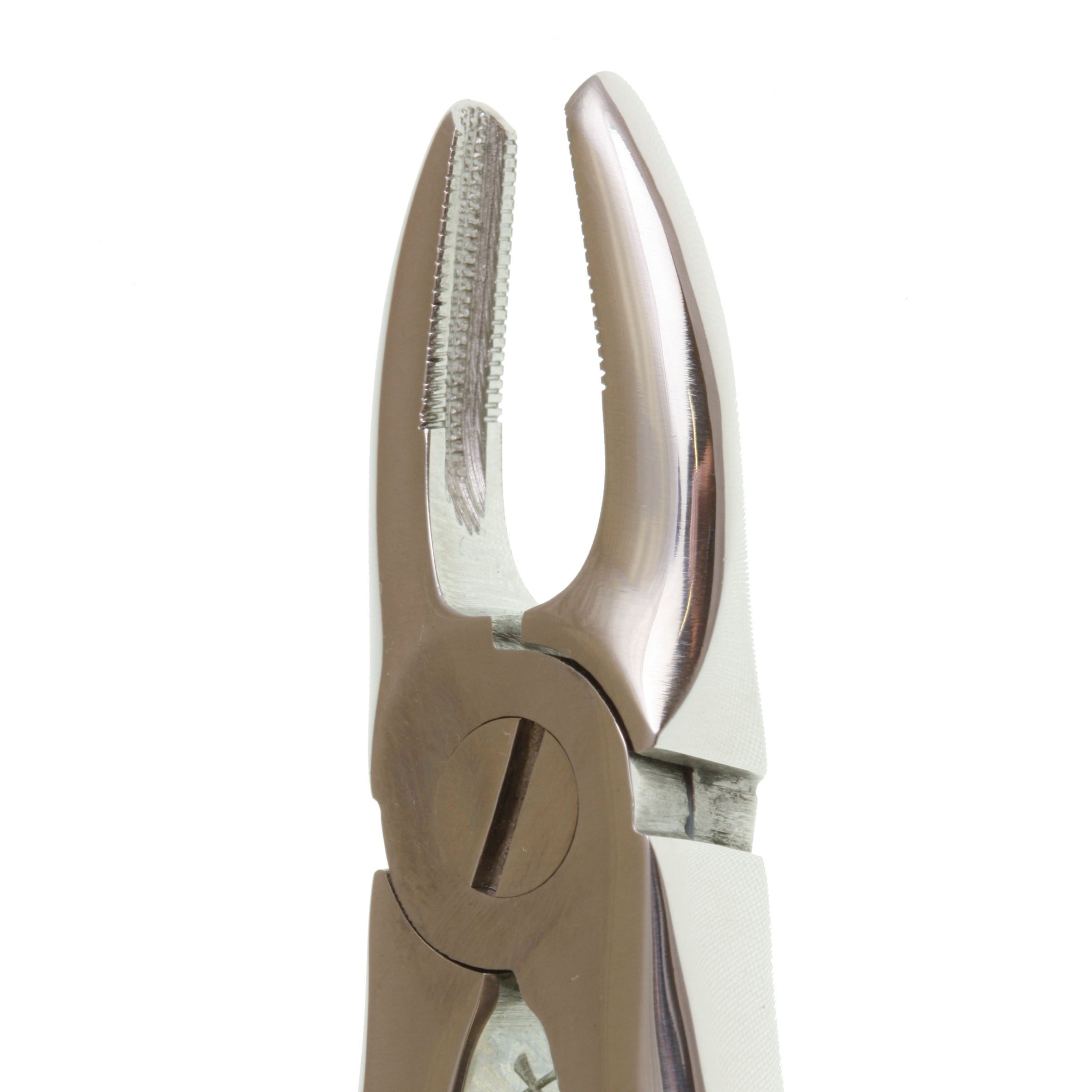 Eco+ Extraction Forcep No 29