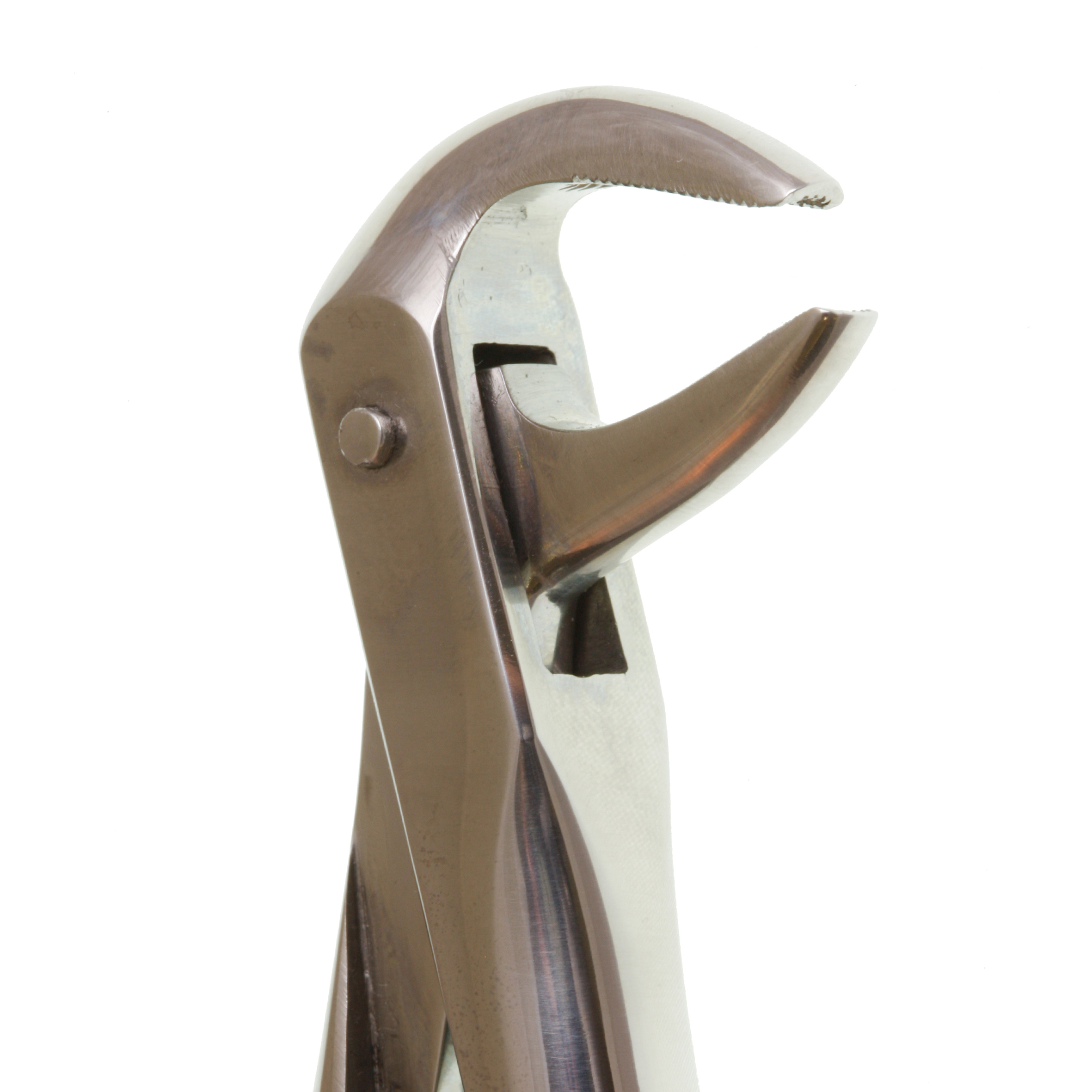 Eco+ Extraction Forcep No 74