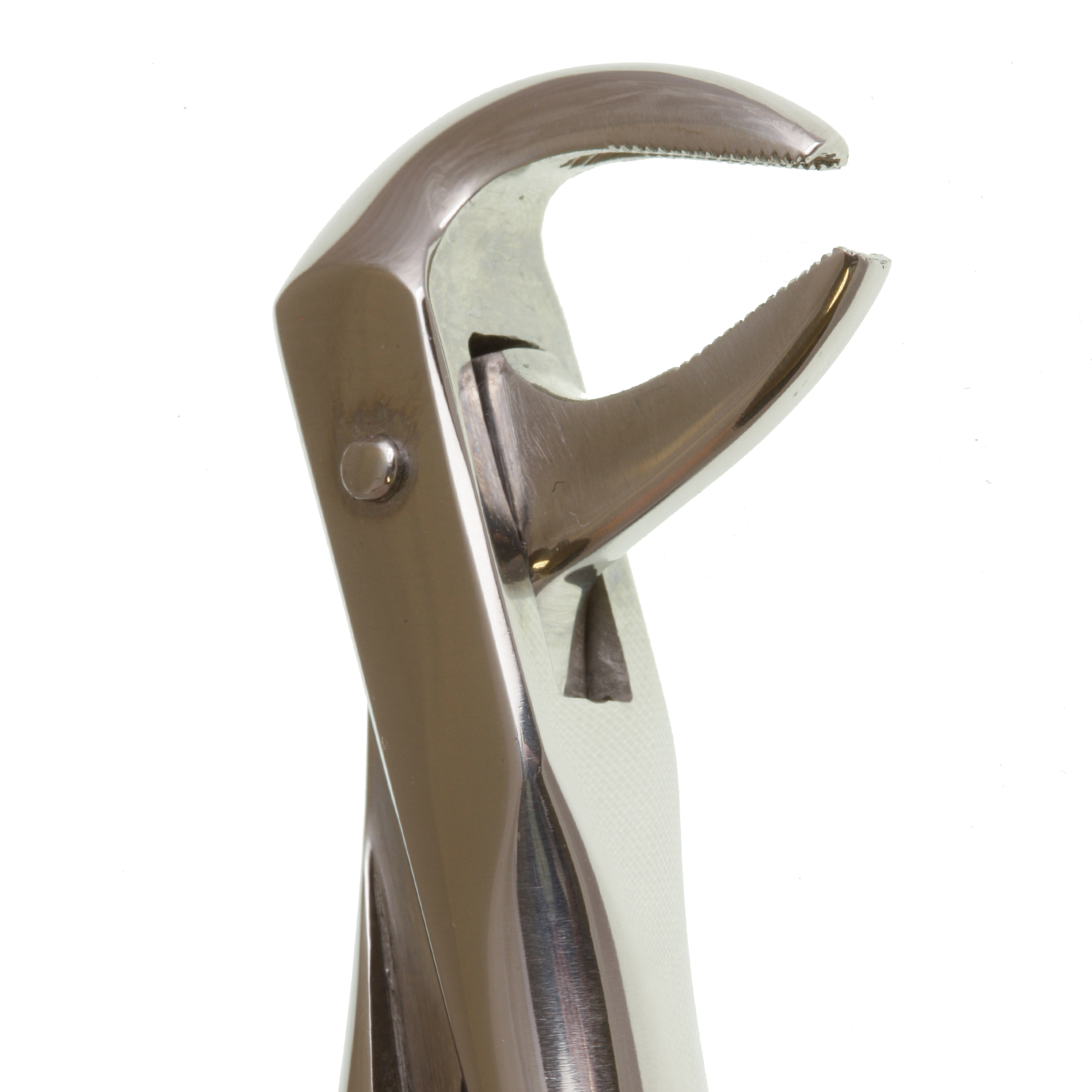 Eco+ Extraction Forceps No 74N