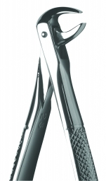 Eco+ Extraction Forcep No 123