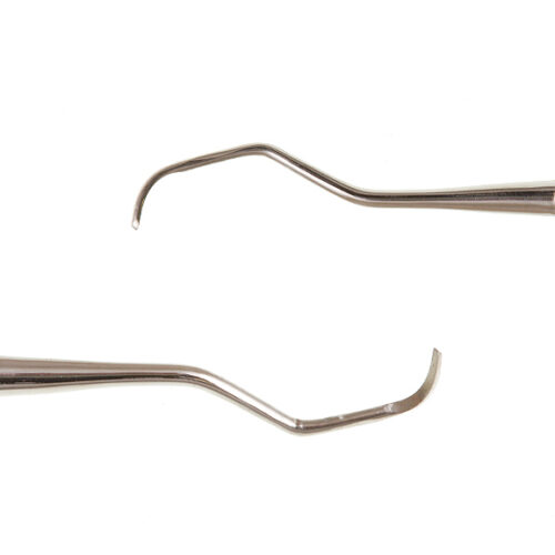 Eco+ Lucas Curette