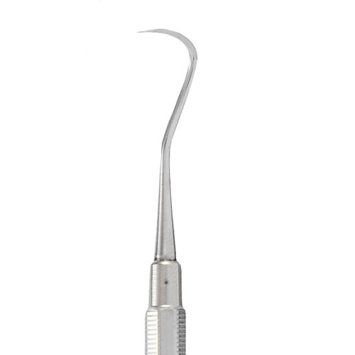 Hygienist Scaler H6