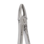 Eco+ Extraction Forceps No 37