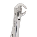 Eco+ Extraction Forceps No 86