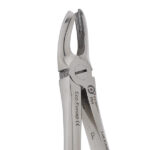 Eco+ Extraction Forceps No 95