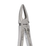 Eco+ Extraction Forceps No 29