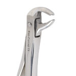 Eco+ Extraction Forceps No 73