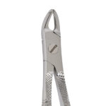 Eco+ Extraction Forceps No 159