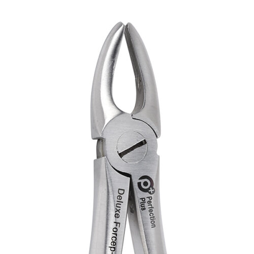 Deluxe Extraction Forceps No 2