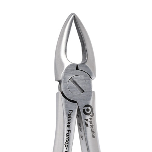 Deluxe Extraction Forceps No 29