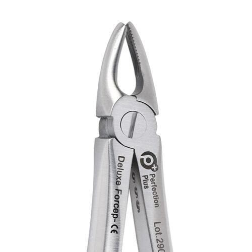 Deluxe Extraction Forceps No 37