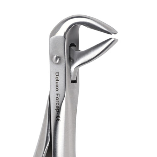 Deluxe Extraction Forceps No 75