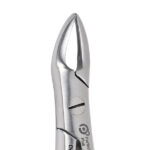 Deluxe Forceps No 76N