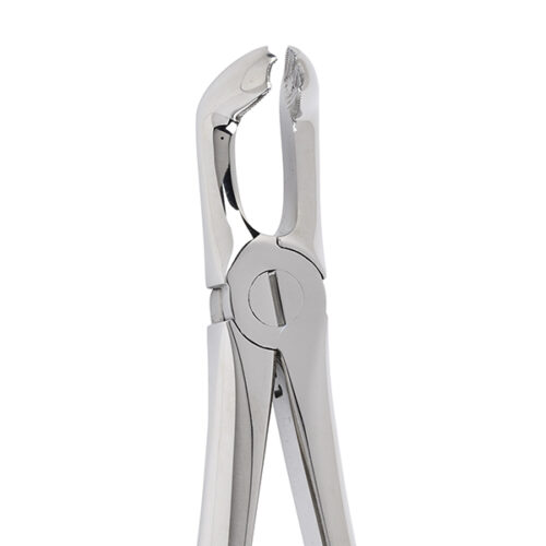 Deluxe Extraction Forceps No 79