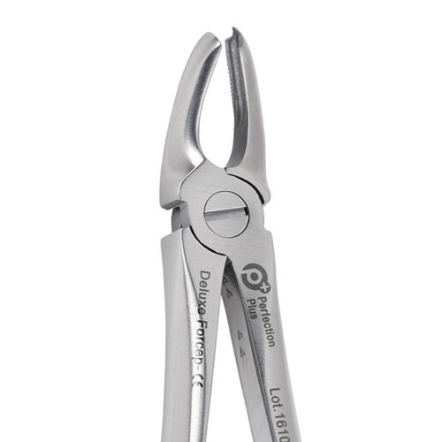 Deluxe Extraction Forceps No 95