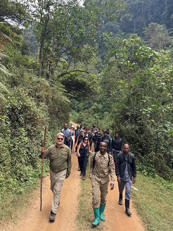 Bwindi Impenetrable Forest National Villager Path